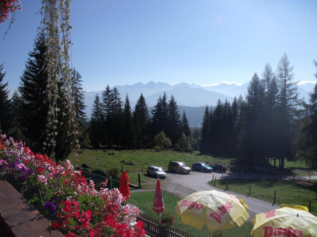 Gasthof Edelbrunn Hotell Ramsau am Dachstein Eksteriør bilde