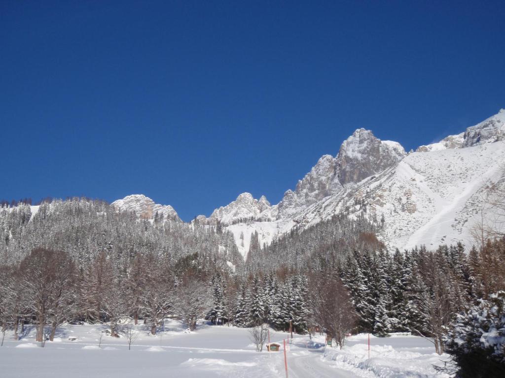 Gasthof Edelbrunn Hotell Ramsau am Dachstein Eksteriør bilde