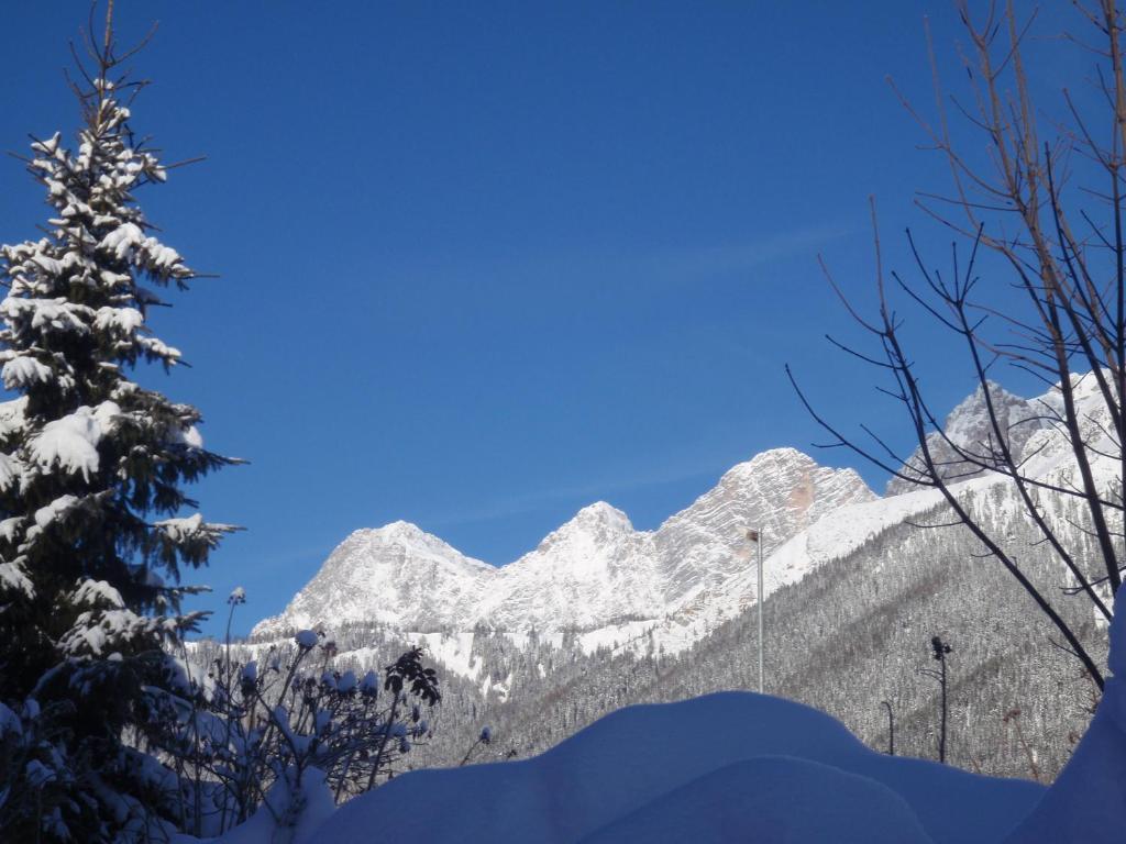 Gasthof Edelbrunn Hotell Ramsau am Dachstein Eksteriør bilde